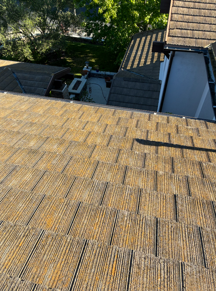 Soft-washed shingles