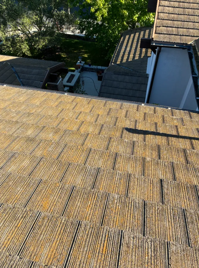 Freshly cleaned shingle roof in Ventura County with the ridge and valleys clear of moss